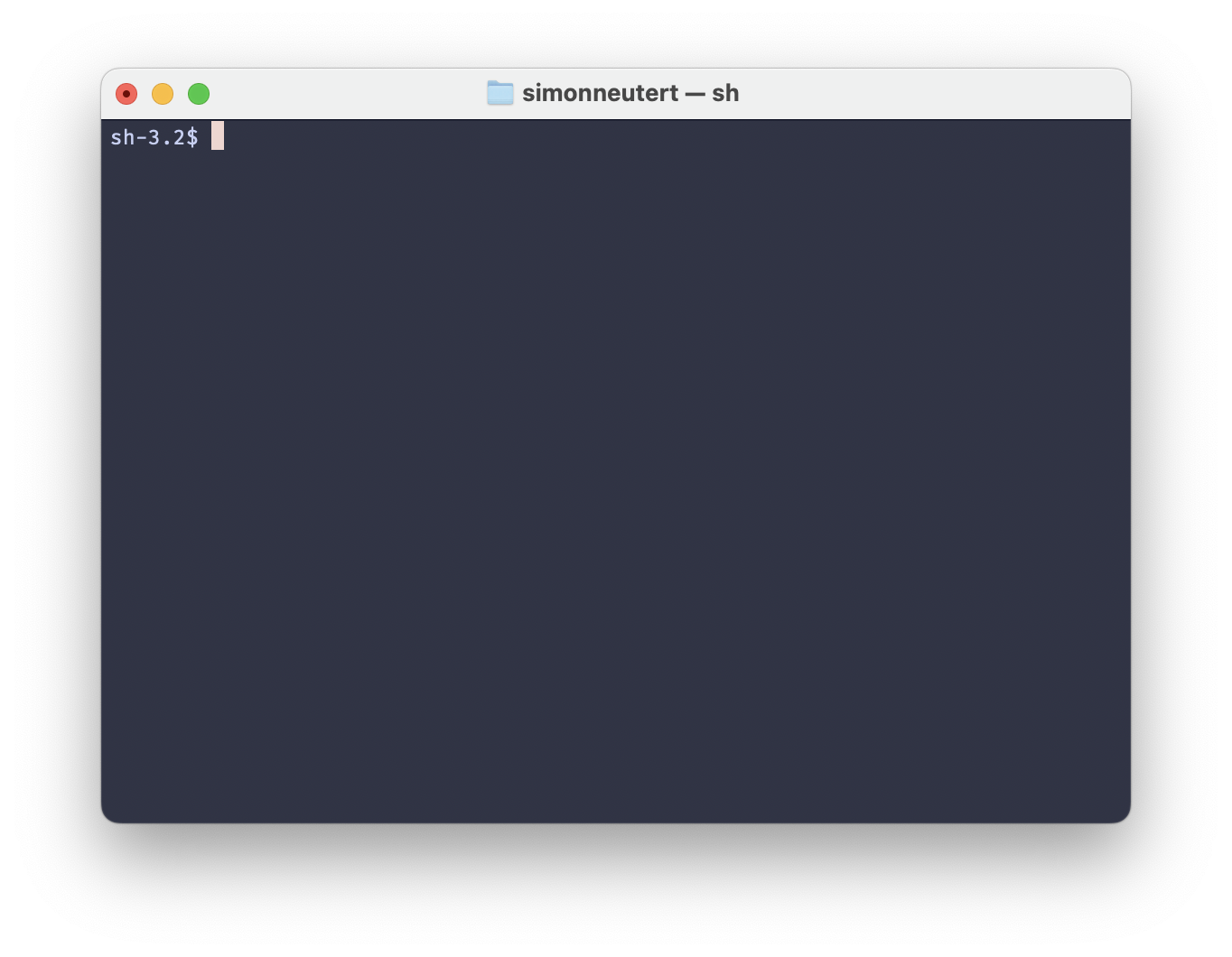 screenshot of a plain, unsalted terminal